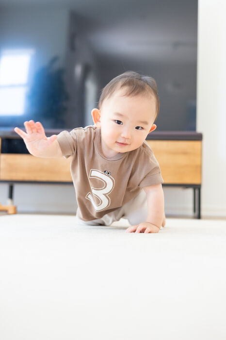 画像1650：スマッシュケーキ撮影